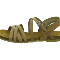 Cosmos Comfort Sandalette bis 30mm Absatz (casual)