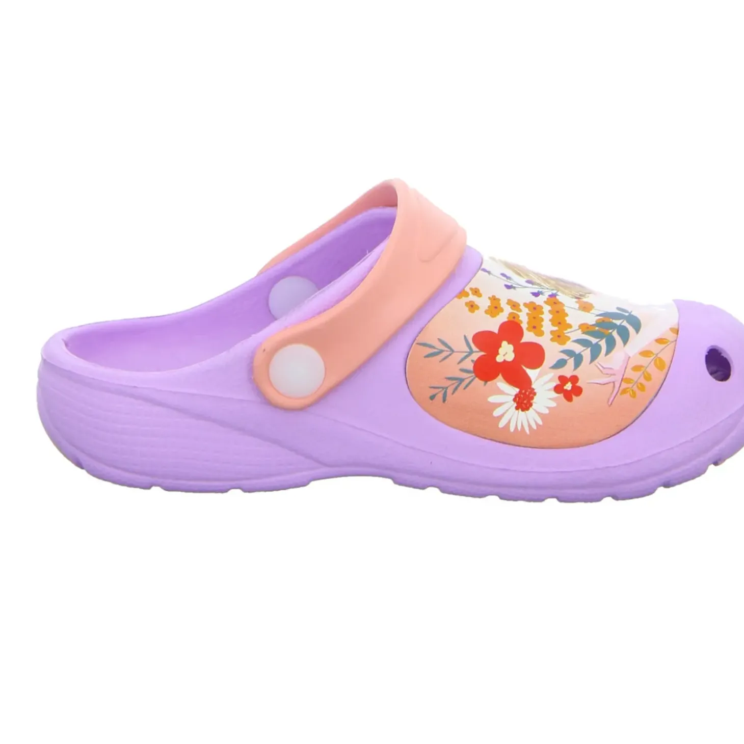 Frozen EVA Clog